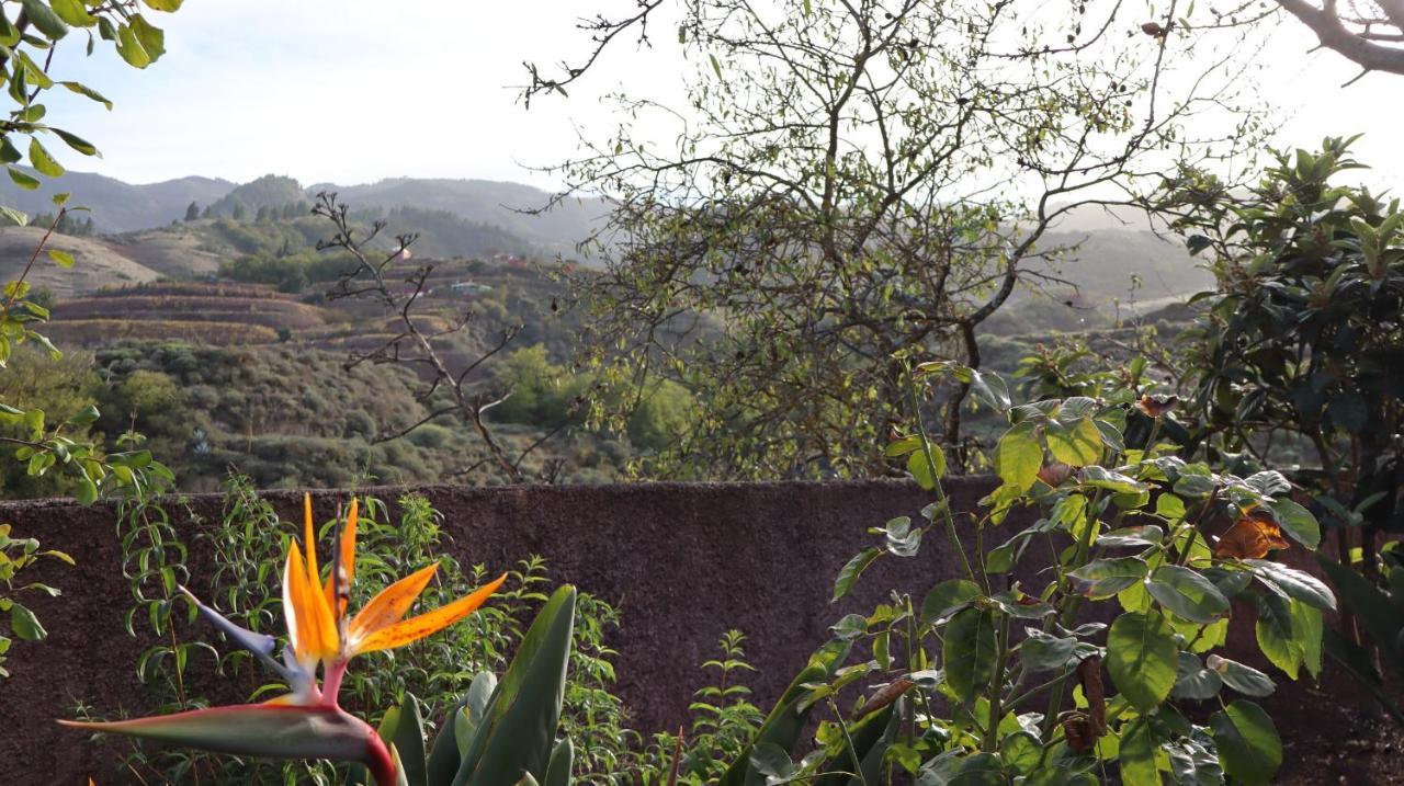 Casa Rural En San Mateo Las Palmas de Gran Canaria Ngoại thất bức ảnh