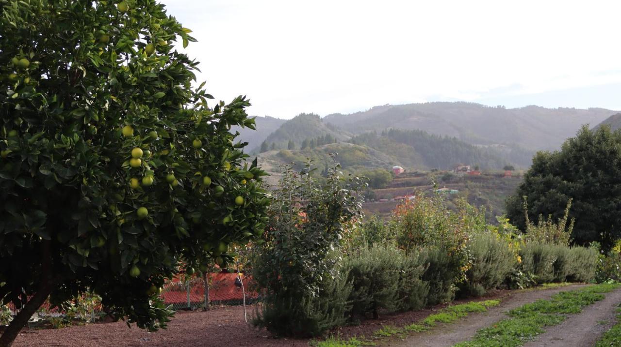 Casa Rural En San Mateo Las Palmas de Gran Canaria Ngoại thất bức ảnh