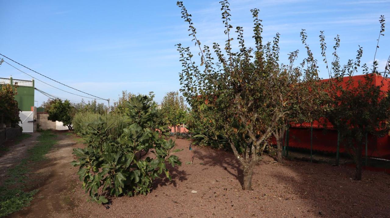 Casa Rural En San Mateo Las Palmas de Gran Canaria Ngoại thất bức ảnh