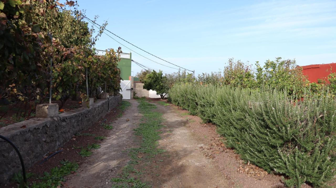 Casa Rural En San Mateo Las Palmas de Gran Canaria Ngoại thất bức ảnh