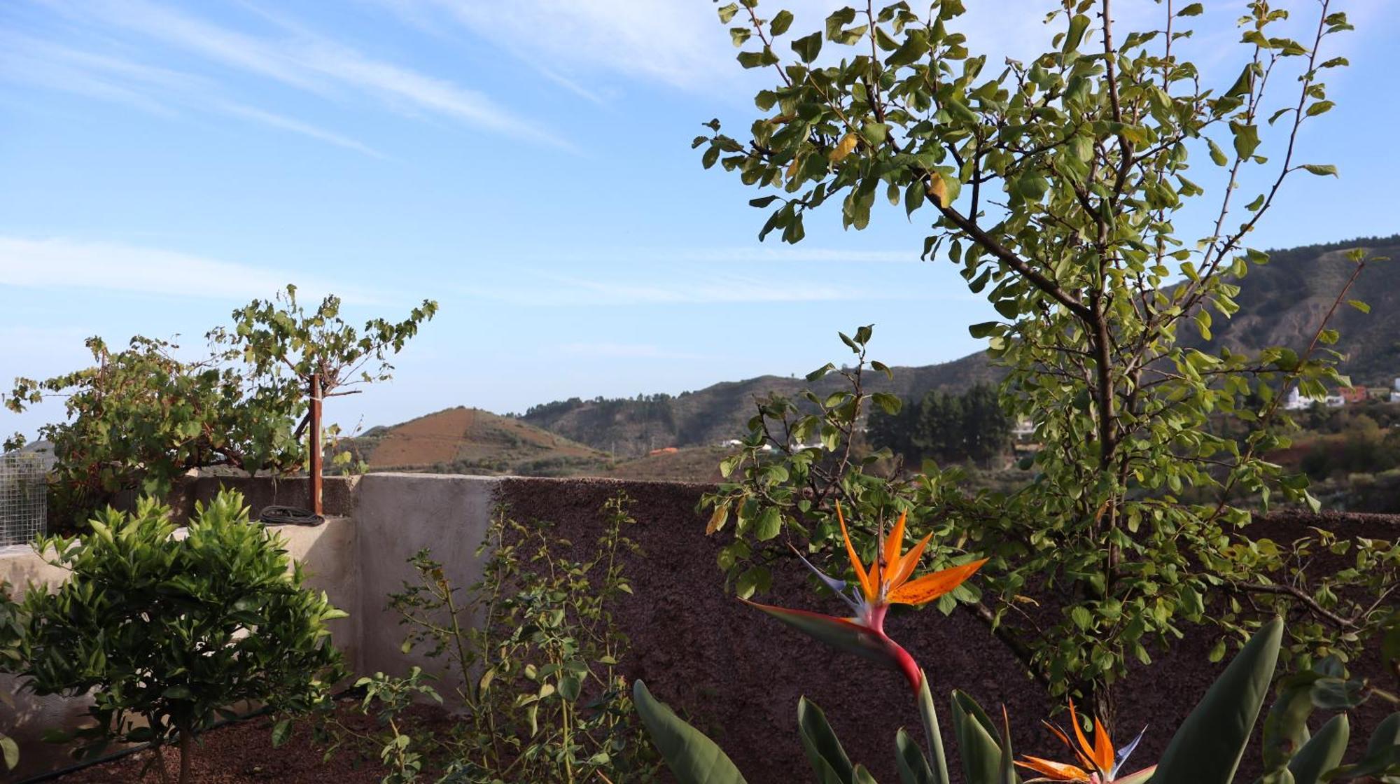 Casa Rural En San Mateo Las Palmas de Gran Canaria Ngoại thất bức ảnh