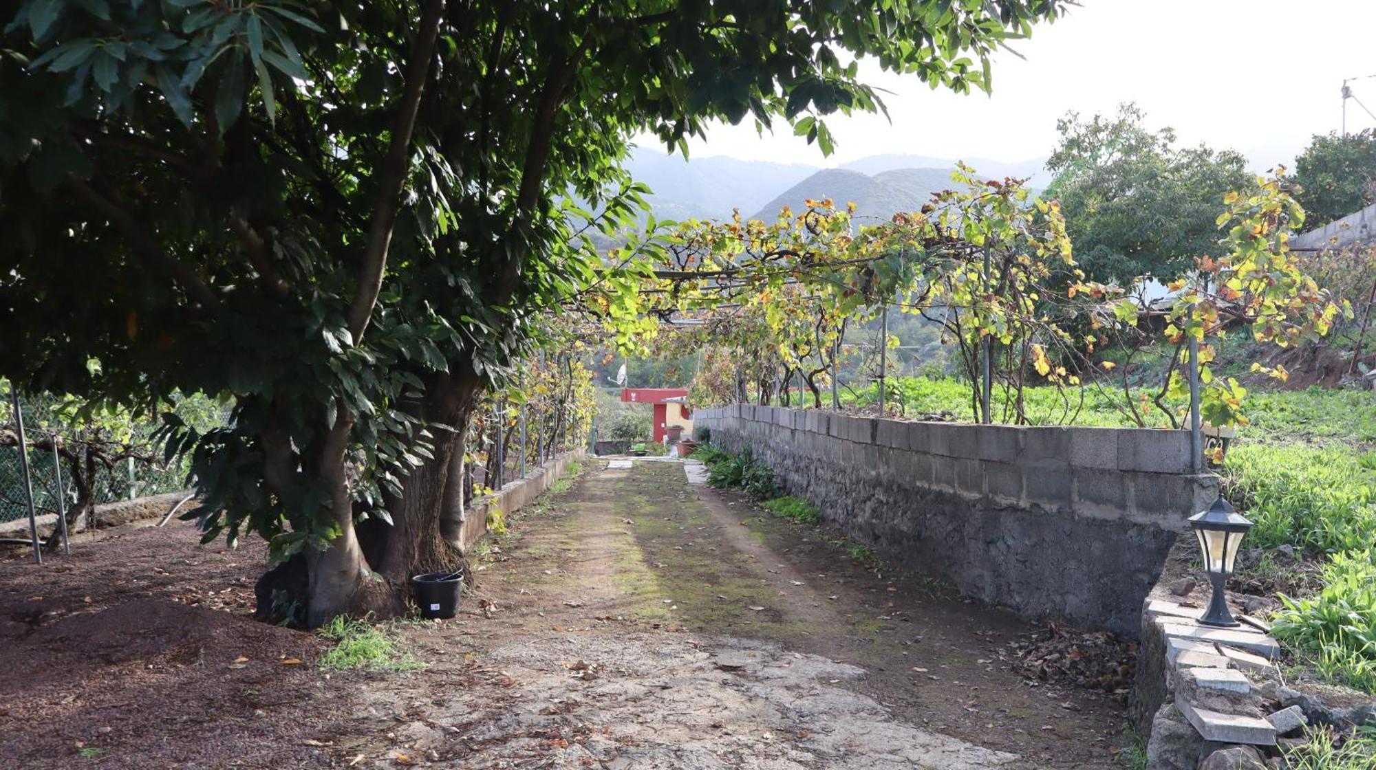 Casa Rural En San Mateo Las Palmas de Gran Canaria Ngoại thất bức ảnh