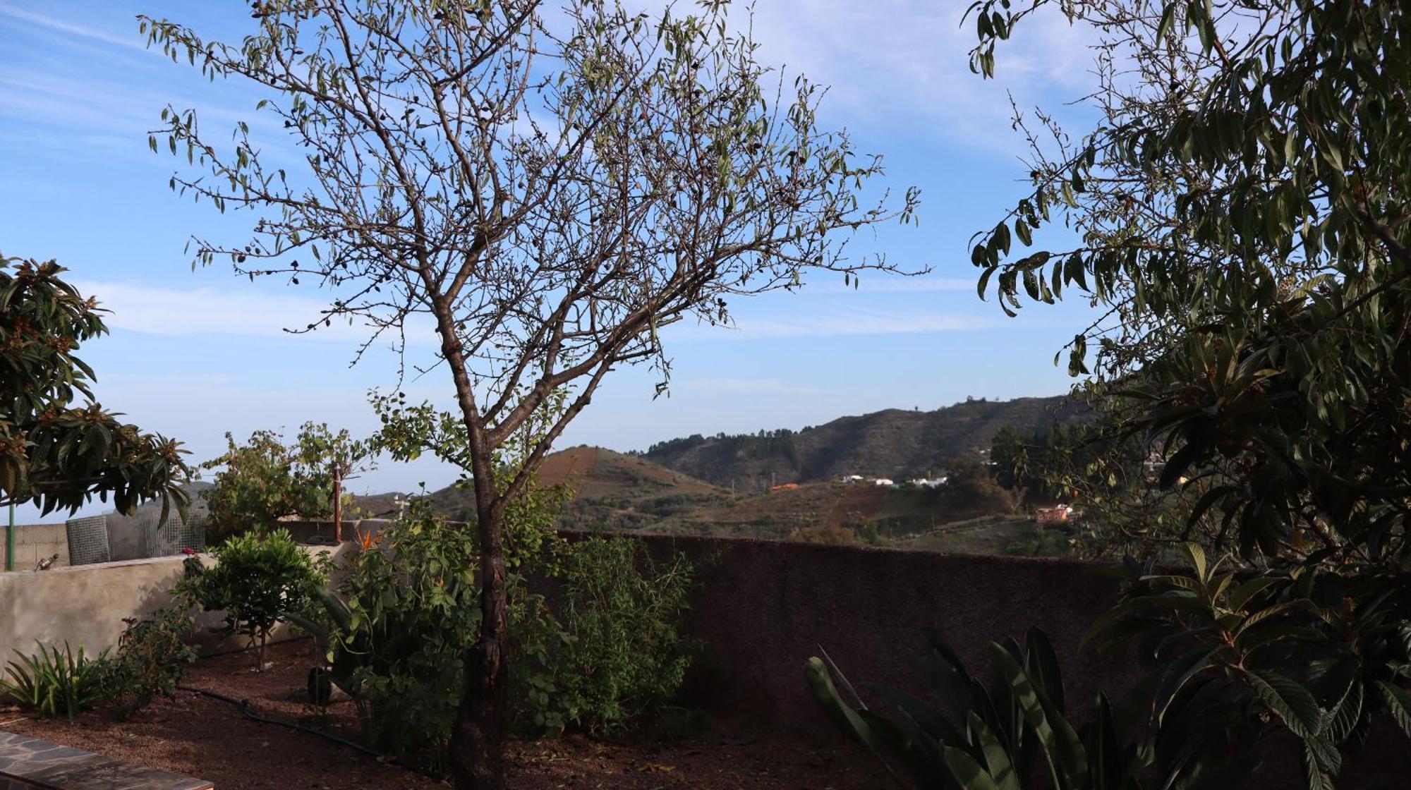 Casa Rural En San Mateo Las Palmas de Gran Canaria Ngoại thất bức ảnh